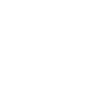 hub